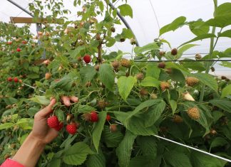 Jakość jest w cenie…