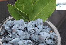 II Konferencja Kamczacka – zapraszamy do rejestracji