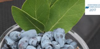 II Konferencja Kamczacka – zapraszamy do rejestracji