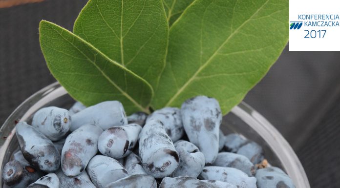 II Konferencja Kamczacka – zapraszamy do rejestracji