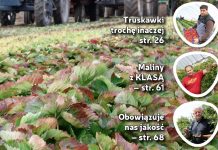 Jagodnik 7/2017 – już w sprzedaży