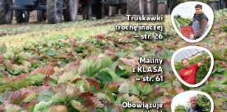 Jagodnik 7/2017 – już w sprzedaży