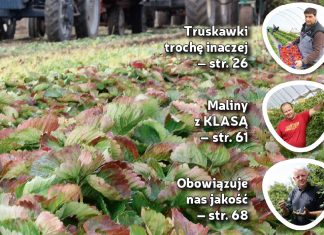 Jagodnik 7/2017 – już w sprzedaży