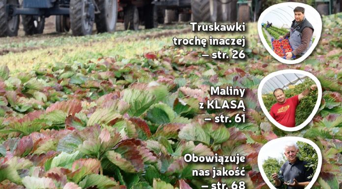 Jagodnik 7/2017 – już w sprzedaży