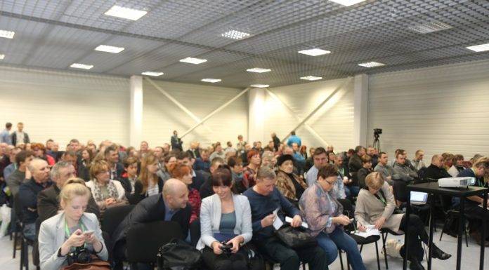 Na które jagodowe nisze warto postawić? (cz. 1)