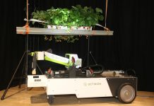 Brexit a mechaniczny zbiór truskawek