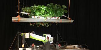 Brexit a mechaniczny zbiór truskawek