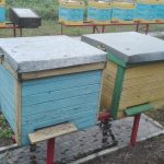Ule strego typu także zapewniają pszczołom niezłe warunki do zimy ale wymagają innego przygotowania