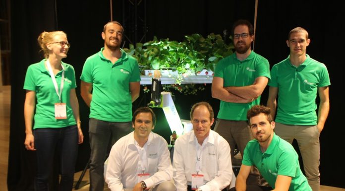 Robot do zbierania truskawek