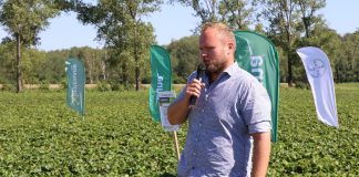 Odmiany truskawek modne w regionie Czerwińska nad Wisłą