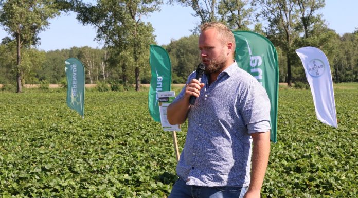 Odmiany truskawek modne w regionie Czerwińska nad Wisłą
