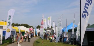 Praktyczne rozwiązania z Gołuchowa