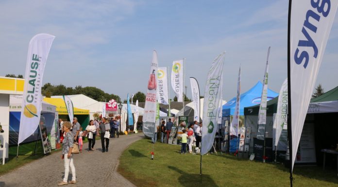 Praktyczne rozwiązania z Gołuchowa