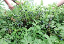 Konferencja Kamczacka #1 na świecie