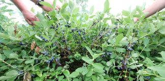 Konferencja Kamczacka #1 na świecie