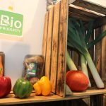 Bio-Vege to duże ekologiczne gospodarstwo warzywnicze z północy woj. łódzkiego