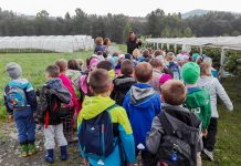 Skąd się biorą truskawki?