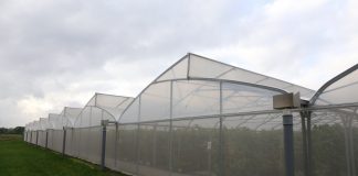 Materiał szkółkarski – co trzeba wiedzieć