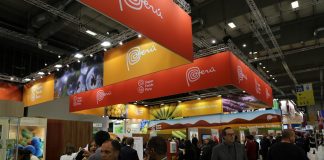 Rekordowy wzrost eksportu borówek z Peru, a co z cenami?