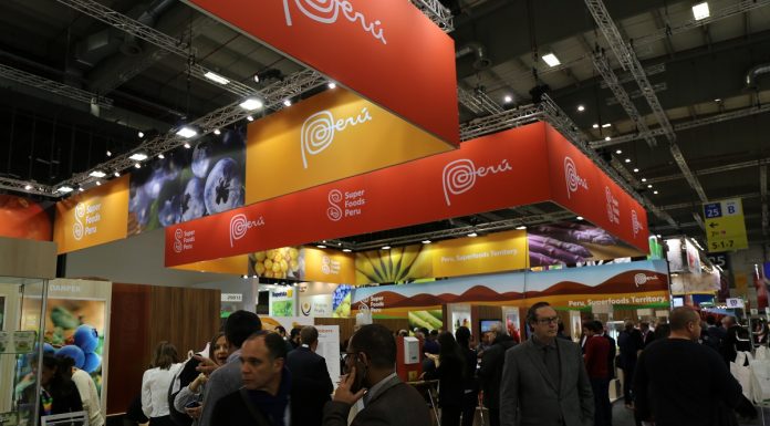 Rynek owoców borówki po drugiej stronie Atlantyku