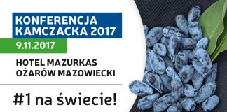 II Konferencja Kamczacka
