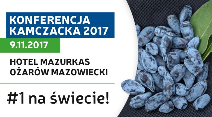 II Konferencja Kamczacka
