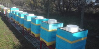 Uzupełnienie zapasów zimowych w pasiekach