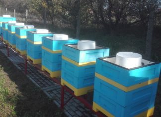 Uzupełnienie zapasów zimowych w pasiekach