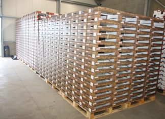 Współdziałanie plantatorów truskawek – inspirujący przykład