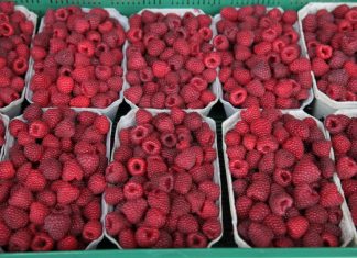 Ceny malin, truskawek, borówek i aronii na rynkach hurtowych