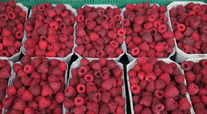 Ceny malin, truskawek, borówek i aronii na rynkach hurtowych