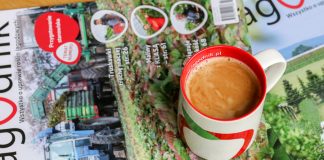 Czas na kawę, czas na Jagodnik!