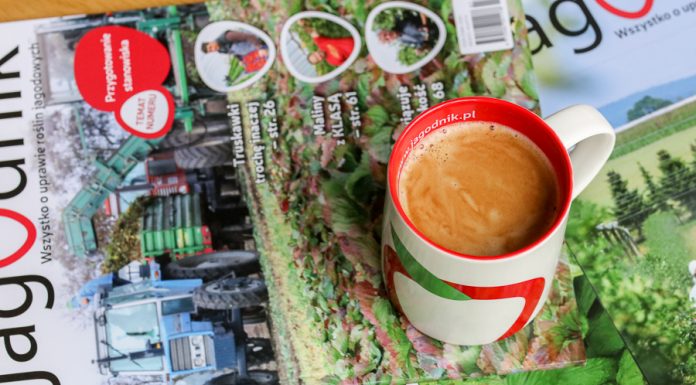 Czas na kawę, czas na Jagodnik!