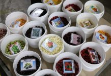 Technologie i innowacje: uprawa i przetwórstwo jagód już 14-15 grudnia we Lwowie