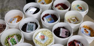 Technologie i innowacje: uprawa i przetwórstwo jagód już 14-15 grudnia we Lwowie