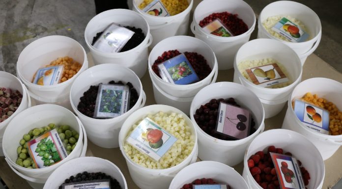 Technologie i innowacje: uprawa i przetwórstwo jagód już 14-15 grudnia we Lwowie