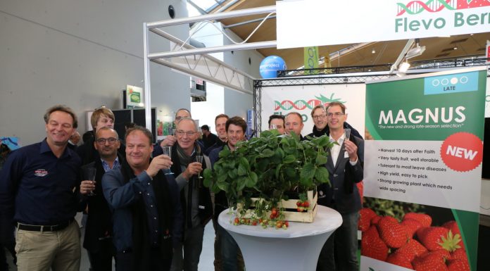 Jagodowa oferta na targach w Karlsruhe