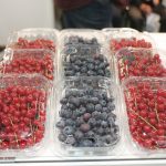 Na Horti-Tech czuć było rosnące znaczenie upraw jagodowych w Polsce