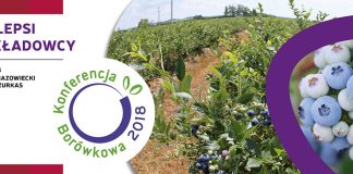 Wyzwania na borówkowym rynku – Konferencja Borówkowa 2018