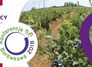 Wyzwania na borówkowym rynku – Konferencja Borówkowa 2018