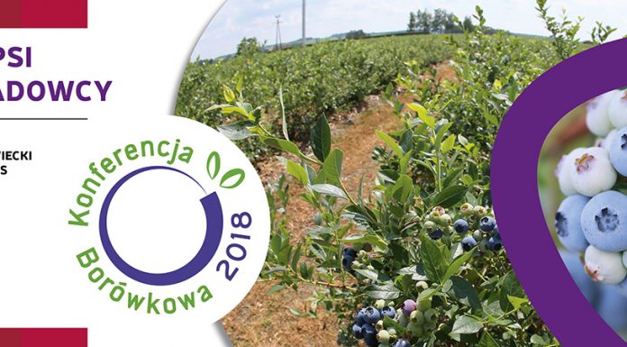 Wyzwania na borówkowym rynku – Konferencja Borówkowa 2018