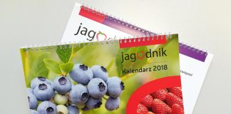 Kalendarz pod znakiem owoców jagodowych