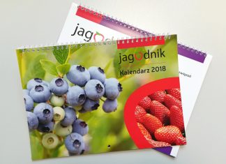 Kalendarz pod znakiem owoców jagodowych
