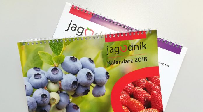 Kalendarz pod znakiem owoców jagodowych