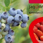 Kalendarz_Jagodnik_2018-11