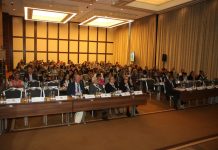 Promocja owoców i warzyw na świecie (cz. 1)