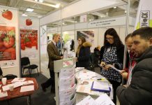 Truskawkowe zalecenia z Lublina (cz. I)