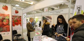 Truskawkowe zalecenia z Lublina (cz. I)