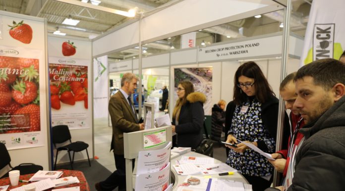 Truskawkowe zalecenia z Lublina (cz. I)