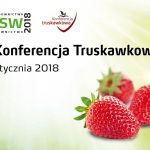 konferencja_truskawkowa_TSW_2018